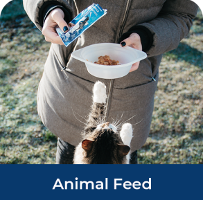 animal feed